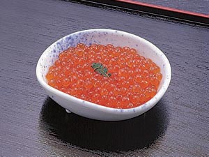 100401a.jpg